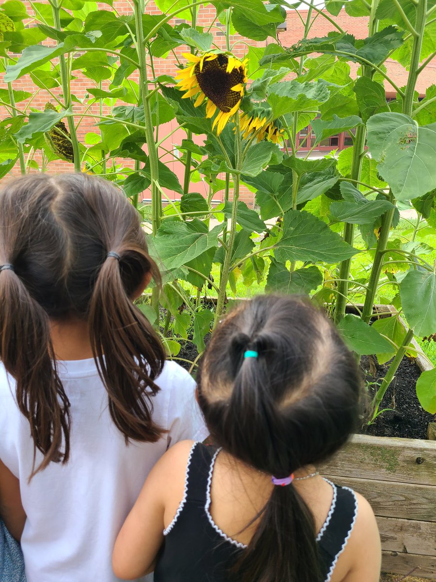 Anna Dutke tweet media