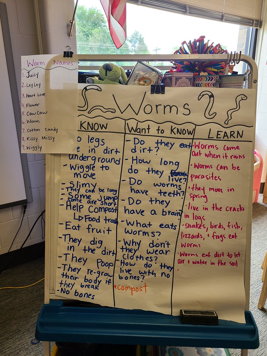 Anna Dutke tweet media