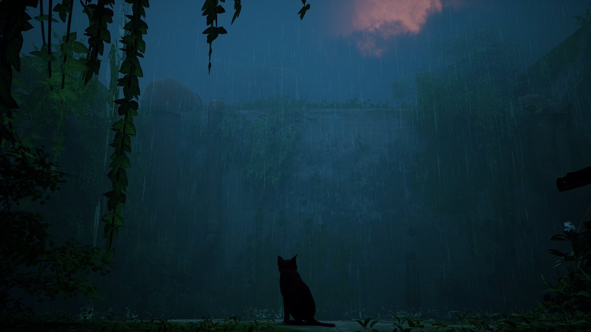 ToastedGamerZ's tweet photo. I’m only about 45 minutes into the game, but Stray has to be one of the most brilliant and visually appealing games that I have played on this console. https://t.co/gOeKlfCxLy