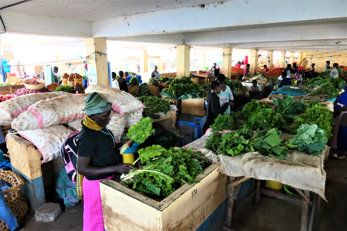 A significant 31% of #food never reaches consumers, resulting in income loss for traders and increased #emissions.

New #cooling project addresses #foodwaste and economic challenges in #Kenya through a sustainable new #coldroom solution❄
 
👉bit.ly/ColdKenya