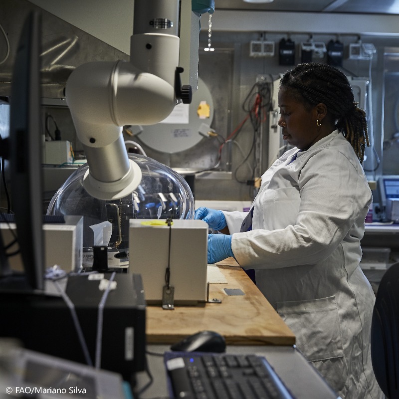 FAO's tweet photo. 🚢 Did you know that there's a research vessel that flies the @UN 🇺🇳 flag?

The Dr. Fridtjof Nansen is a state-of-the-art research vessel that uses the latest tech to boost our knowledge &amp; inform decision-makers, ensuring that our oceans are wisely managed &amp; protected.
#EAFNansen