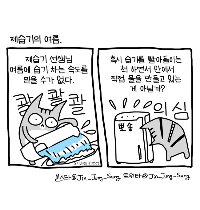 제습기의 여름
