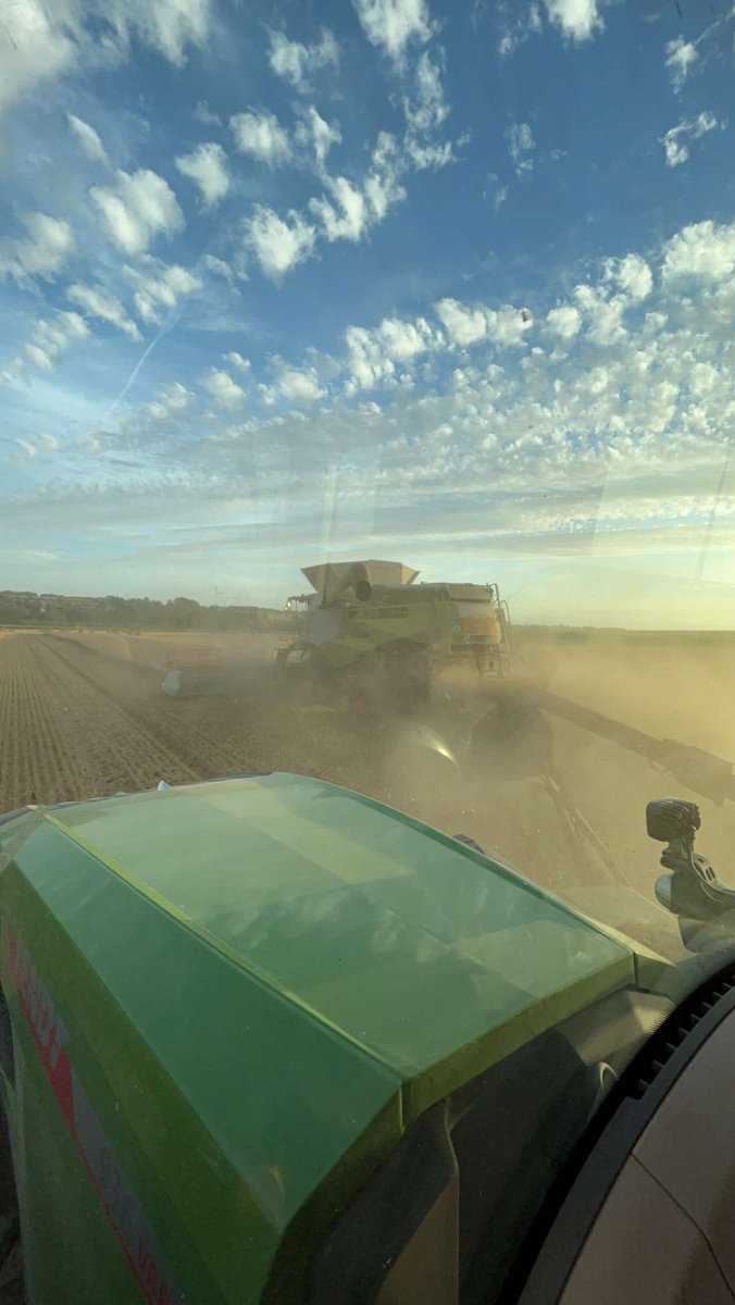 keffRV's tweet image. Démarrage au 10 Août de cette #moisson 2023. Alors que le blé est  mûr depuis 3 semaines.  Pas de surprise sur la qualité  mais  le rendement est au rendez-vous. 
Merci  la génétique @GroupeFDesprez #celebrity
Merci  les #OAD
@xarviodf #farmstar