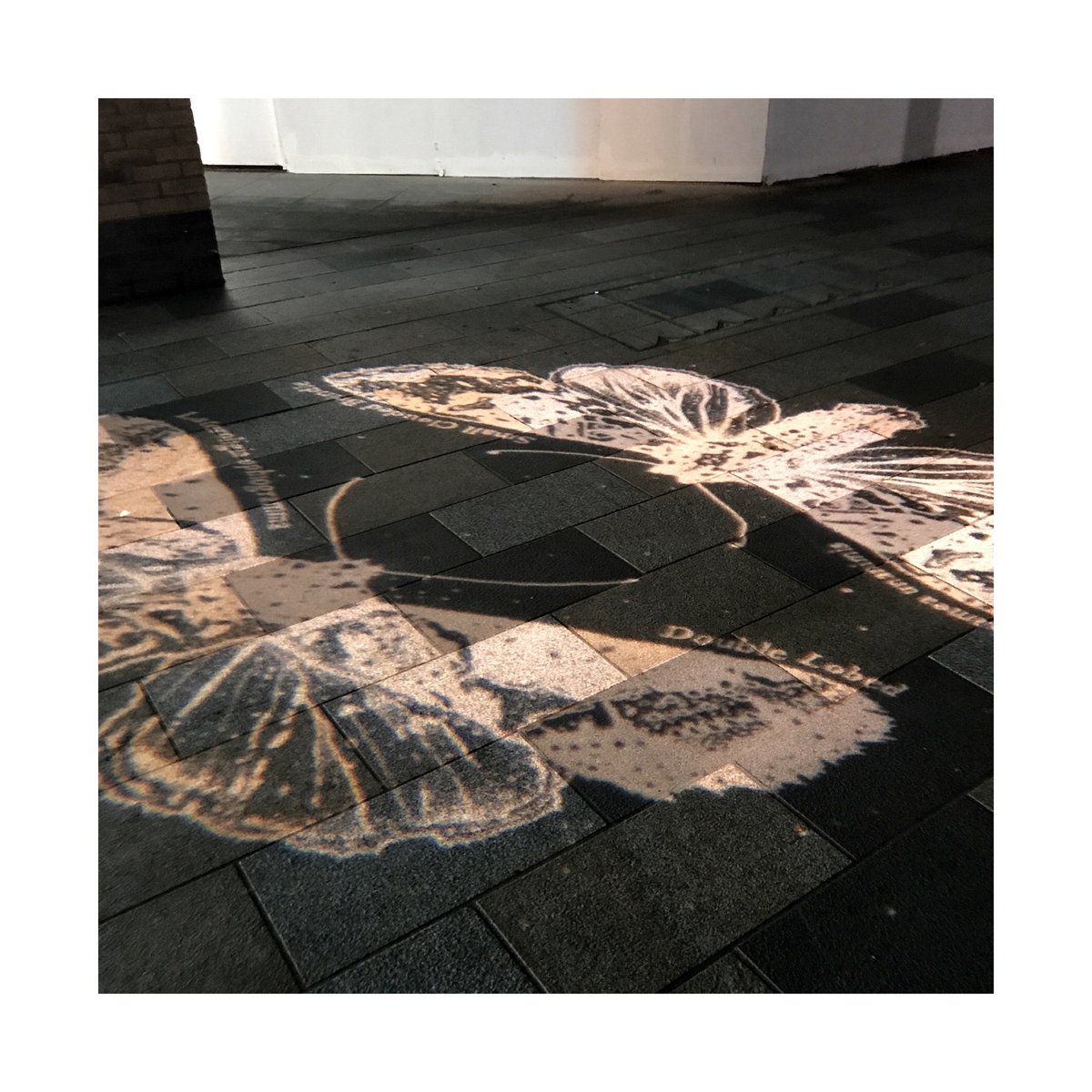 L E P I D O P T E R A

15x unique gobo engraved disks and light fittings. Part of my NATURA series of nature inspired projects for the £240 million town centre redevelopment 'The Lexicon' across 580,000 sq ft.

This part of the commission was to create a series of 15 x unique gob