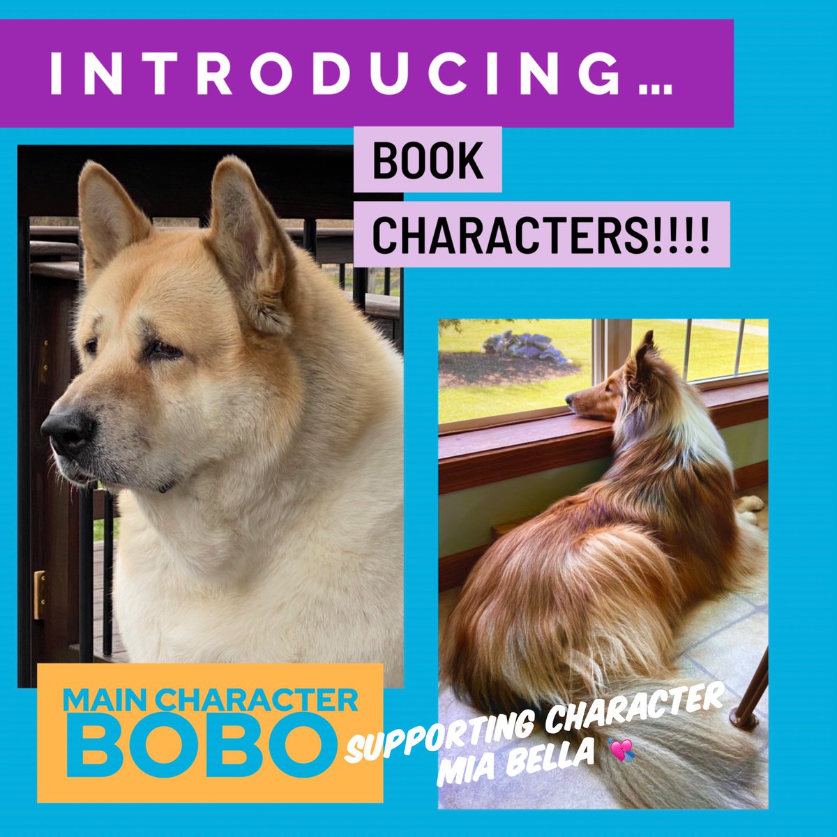 Elated to share my main &amp; supporting book 📕 characters!! #writingcommunity #childrensbook #bookseries #rescuedogs #lovemydogs