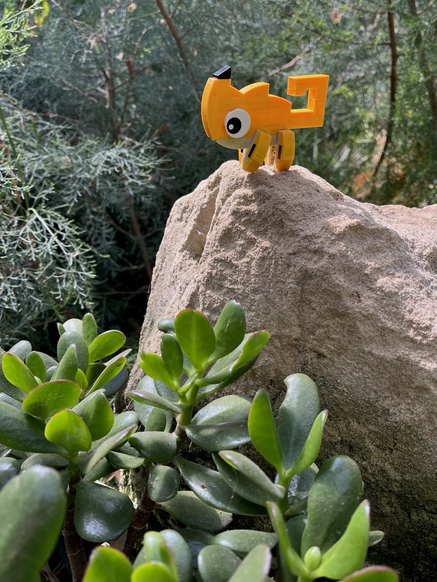 PisangG23's tweet photo. GM GM Tiny is having his Lion King moment π¦
Letβs give him a big roarrrrr! π€
#GoodTrouble #TinyTroubles #chameleon #LEGO #BUIDL #WorldLionDay https://t.co/GAs7Ff0t1R