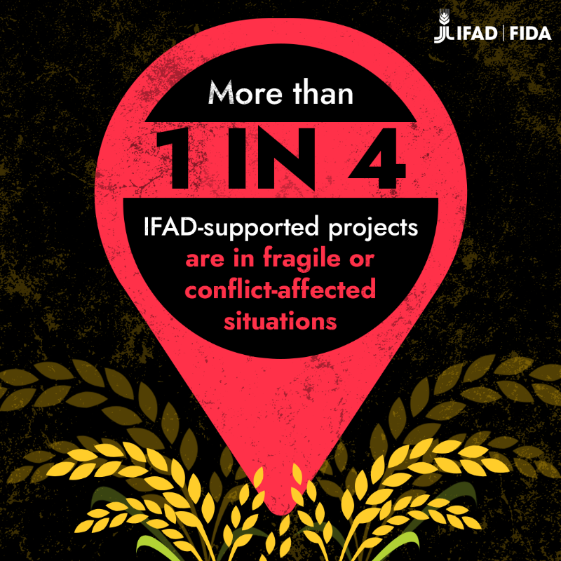 IFAD's tweet photo. When the going gets tough, IFAD stays by rural people’s side.

And by investing in agriculture, we work to build a more peaceful future.

Find out more in our Annual Report 👇