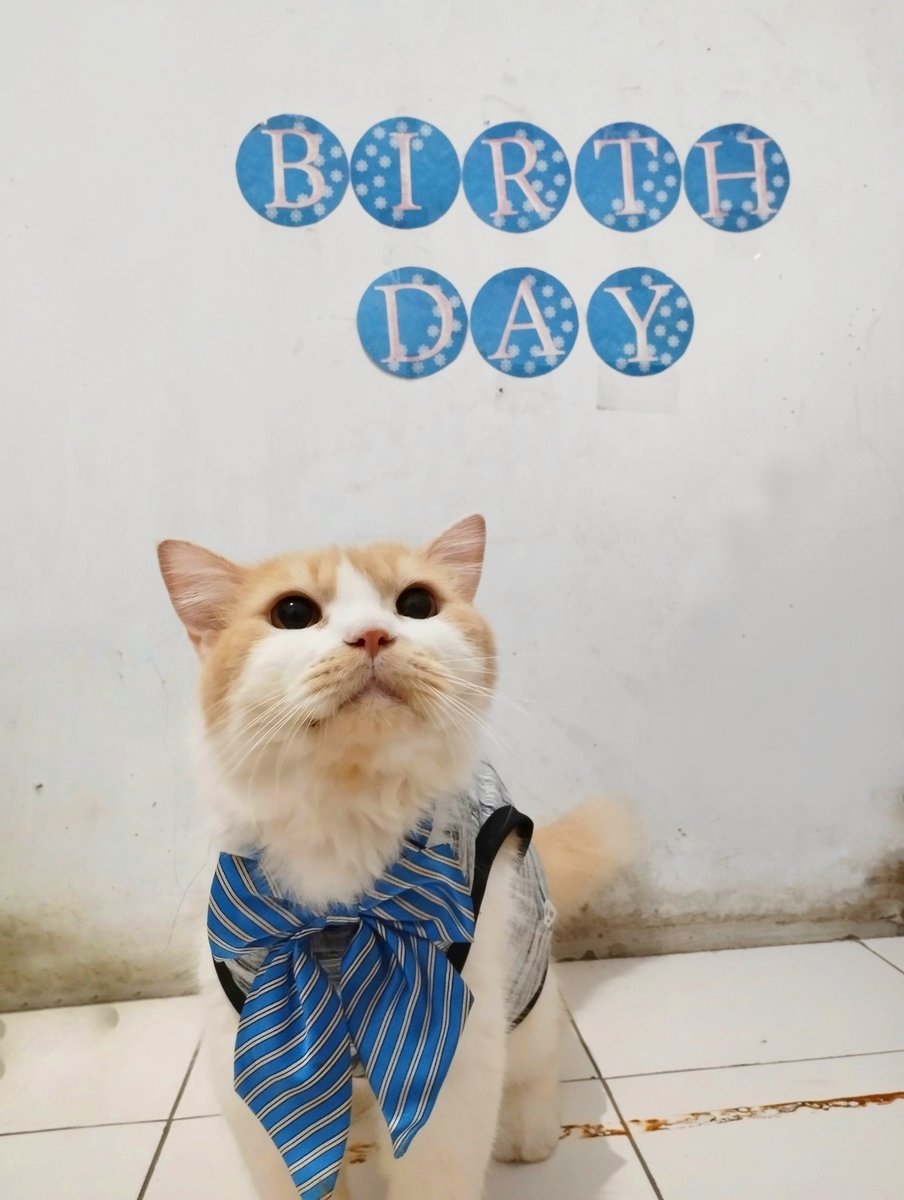 ✨GIVEAWAY SALDO 1 JT UNTUK 5 ORANG ✨

Jumat kli nie ak libur jastip dlu yh xixi, ayo ikutan yh mnies🥳

Syaratny:
- RT n Like tweet ini
- Rep sebanyak2nyh pkai format: " Selamat ulang tahun ke-7 Jenius! Promo 7 hari 7 malamnya keren! #jadilebihjenius "
- Mention <a href="/JeniusConnect/">Jenius Connect</a>