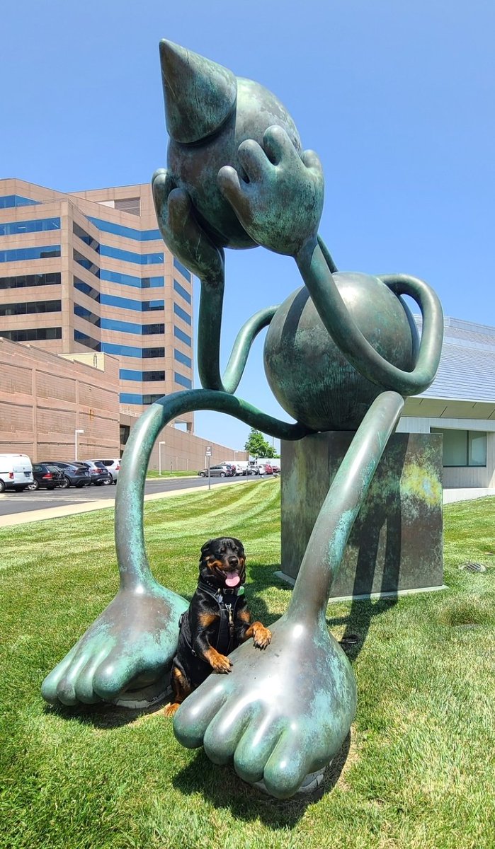 RctSki3's tweet photo. When you feel alone, your dog will be there. https://t.co/bRdCfbWc5E