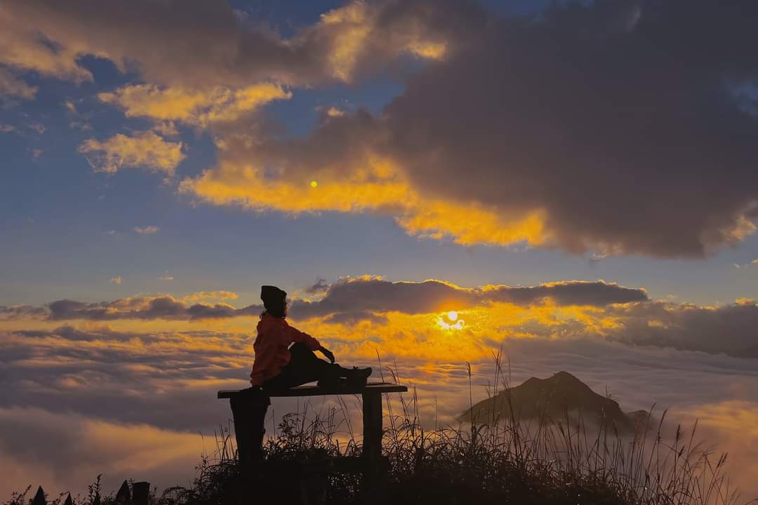 Explore travel tweet media