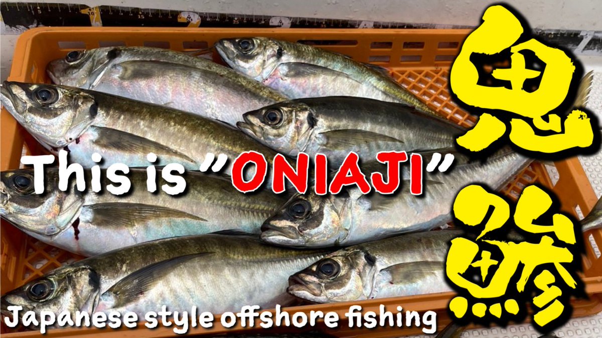 BigFishingJapan's tweet photo. 先日神戸の方にオニアジを釣りに行ってきました。
その時に水中撮影もしましたが…。

やっぱり魚はいるｗｗ

釣れなくても魚はいるｗｗ

"ONIAJI" &amp; mackerel offshore fishing in Kobe ｜ underwater photography ｜ ... https://t.co/d4pOATepZE @YouTubeより https://t.co/ApDpM3WxrV