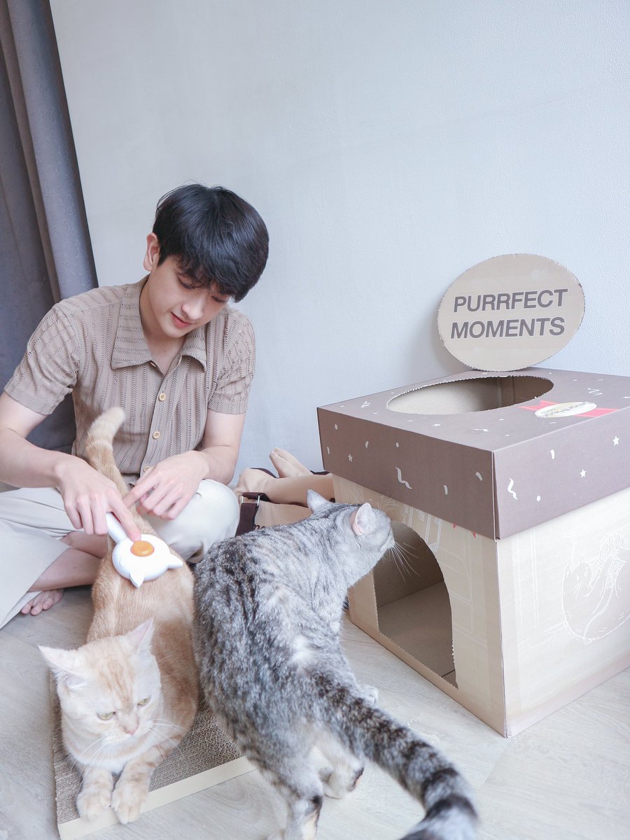 osuaro2's tweet photo. แมวแบบเก่งมากถ่ายเสดรับเปียกๆไปฉองซอง https://t.co/1g18914RAo