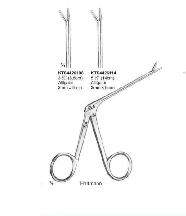 KtsurgicoUs's tweet image. 𝐄𝐍𝐓 𝐇𝐚𝐫𝐭𝐦𝐚𝐧 &amp;amp; 𝐂𝐫𝐨𝐜𝐨𝐝𝐢𝐥𝐞 𝐅𝐨𝐫𝐜𝐞𝐩𝐬!

///

𝐅𝐨𝐫 𝐖𝐡𝐨𝐥𝐞𝐬𝐚𝐥𝐞 𝐈𝐧𝐪𝐮𝐢𝐫𝐢𝐞𝐬: alibaba.com/product-detail…

.
.
.

#enttools #hartmanforceps #crocodileforceps #stainlesssteel #wholesaletools
#bestsellers #premiumquality #earforceps #ktsurgico #kts