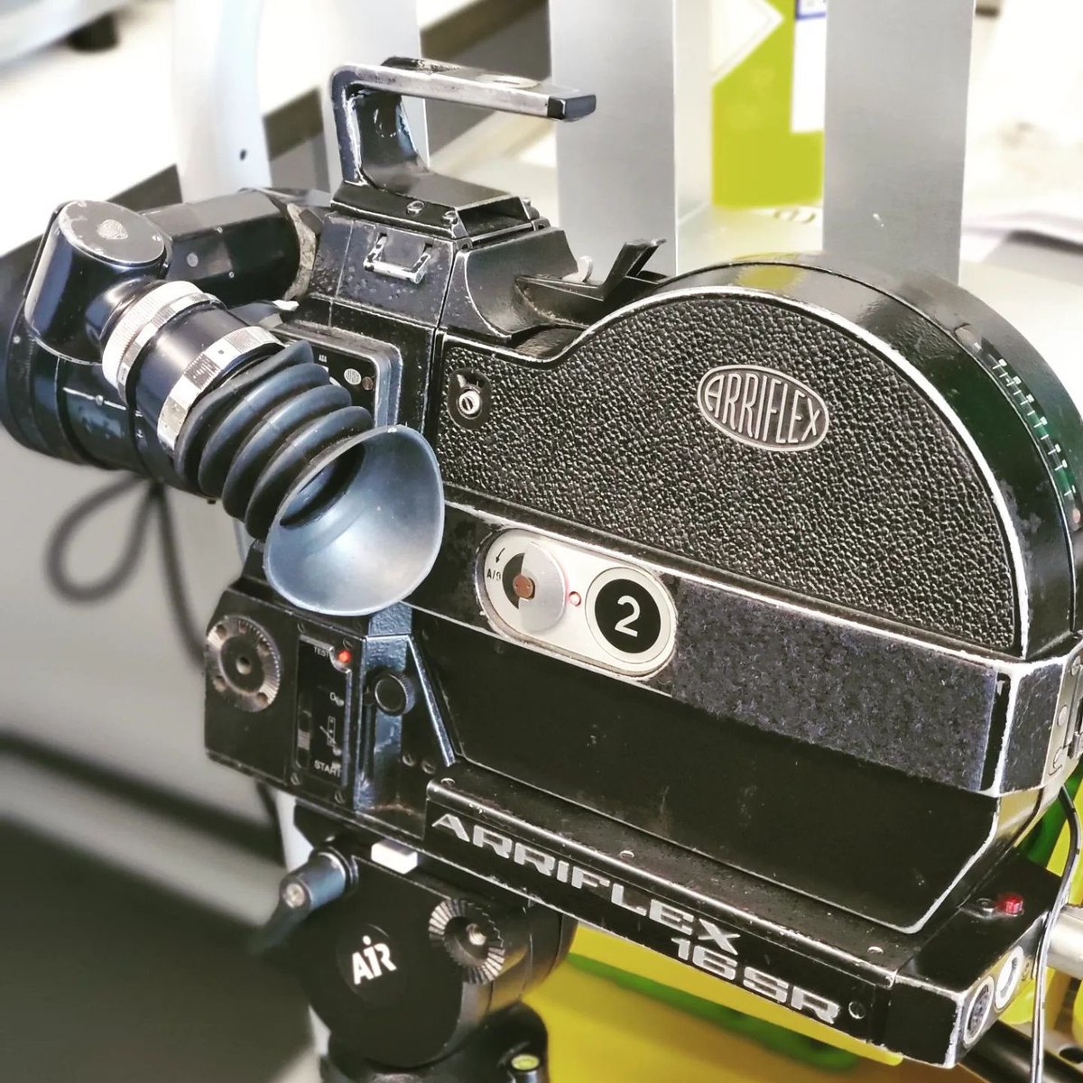 Prof Vikki Rand tweet media