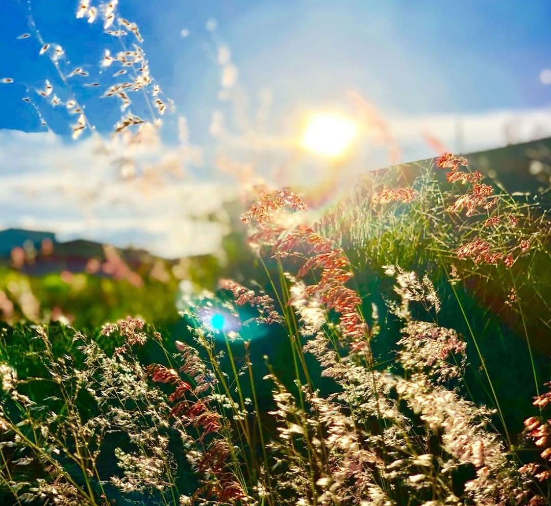.

Şifa  Niyetine..
Dua  Niyetine..
Zikir  Niyetine..
Temenni  Niyetine.
Teselli  Niyetine..
İnşirah  Niyetine..
Gönlünüze,  Ömrünüze..
Rahmanın  Ayetleri  Dokunsun..!

Cumanın Hayrı Üzerimize Olsun...
.