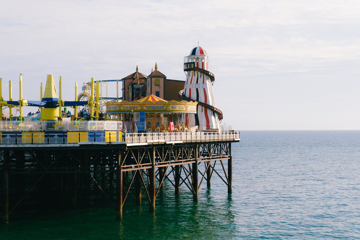 Roman Fox tweet media