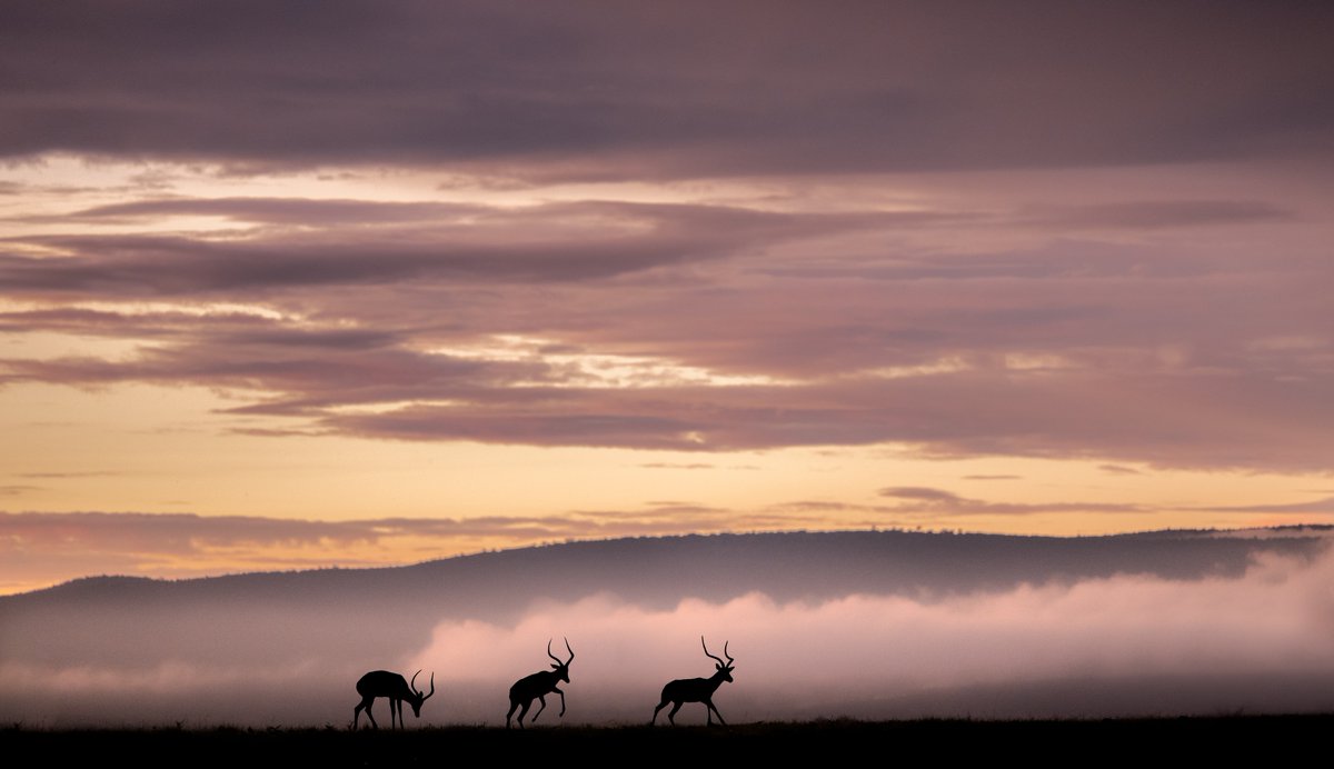 Gm, gm, gm. Proud of this one.