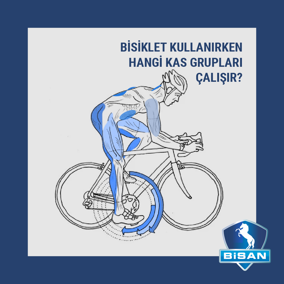 BİSİKLET SÜRERKEN HANGİ KAS GRUPLARI ÇALIŞIR?
Uyluktaki kuadrisepsve biseps
Baldır kasları
İliak(kasık bölgesi)
Kalça kasları
Abs
Kollar ve omuz kemeri
Kalp kası
Sırt kasları
Boyun kasları
#bisan #bisanheryerde #bisanbisiklet  #bisiklet #bicycle #bisikletfaydaları #kasgrupları