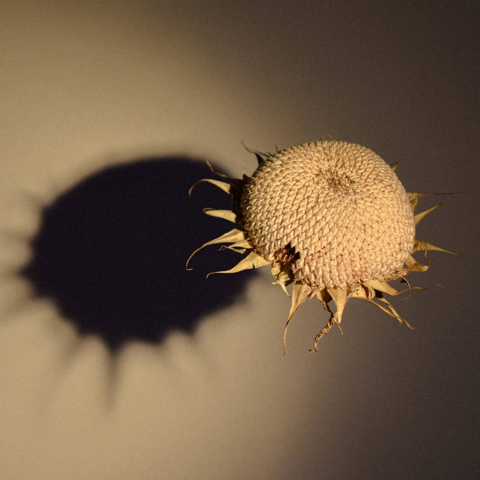 our debut album "sunspot" is now out everywhere you stream music. give it a spin