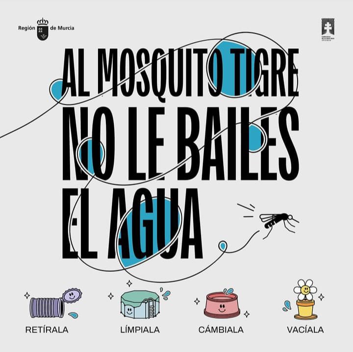 🦟 Al #MosquitoTigre no le bailes el agua 💧

🪴 No encharques las macetas.
🧊 La piscina cúbrela con mosquitera.
🐶 Renueva el agua de los bebederos.
🚽 Evita acumulación de agua en desagües.