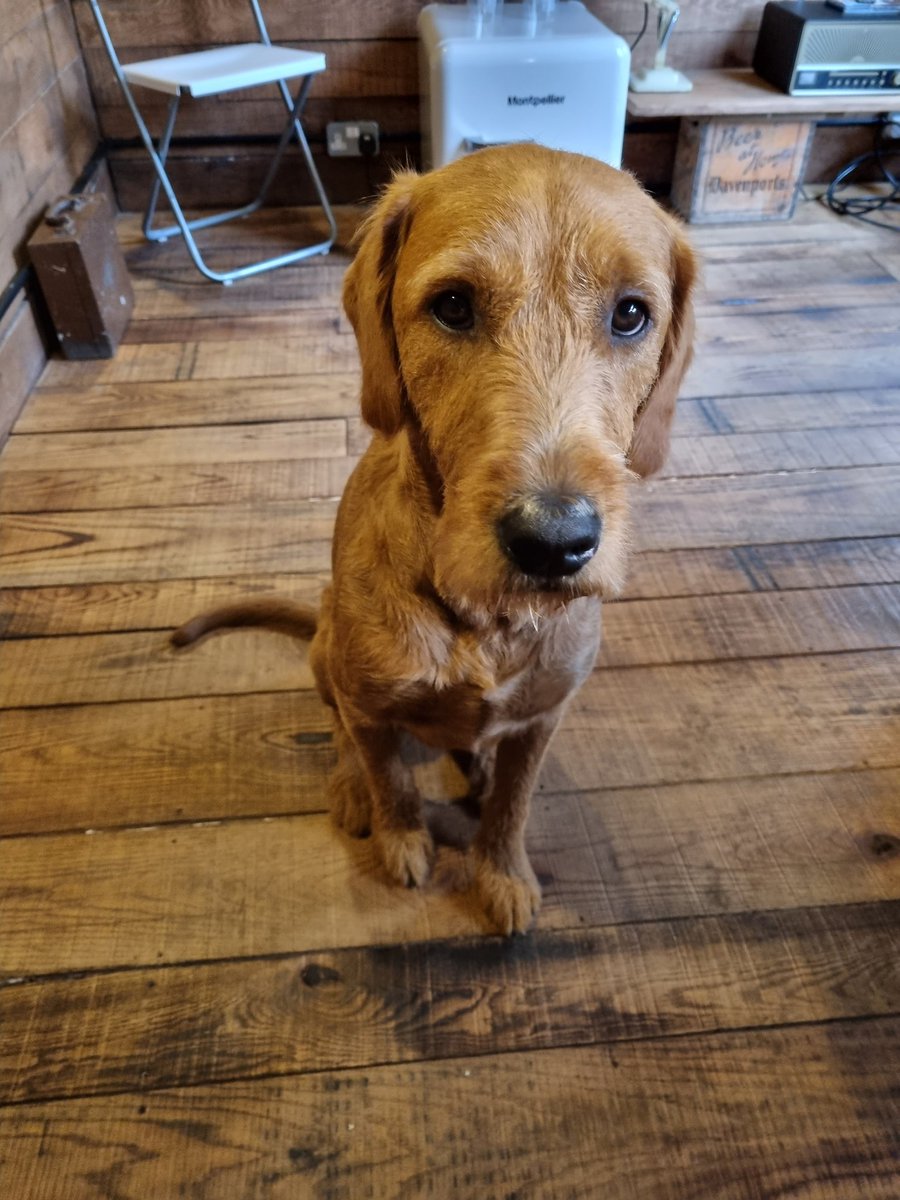 BLOCKCHAIN RECLAIM 🏆🏅 tweet media