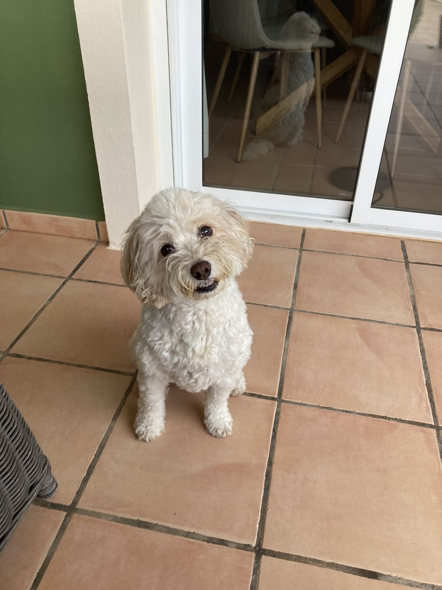 Real Ruth Yates tweet media