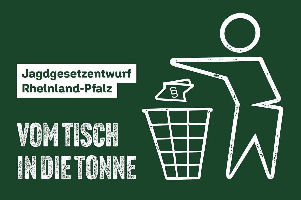 Er schwächt den Tier- und Artenschutz. Stellt Forstwirtschaftliche Interessen über wildbiologische Erkenntnisse. Schürt Misstrauen gegenüber Jägerinnen und Jägern. Wir lehnen den rheinland-pfälzischen #Jagdgesetz-Entwurf in Gänze ab. t1p.de/stkgb
