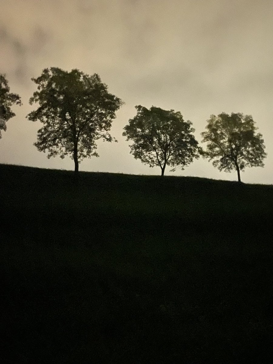 Armando De Crinito tweet media