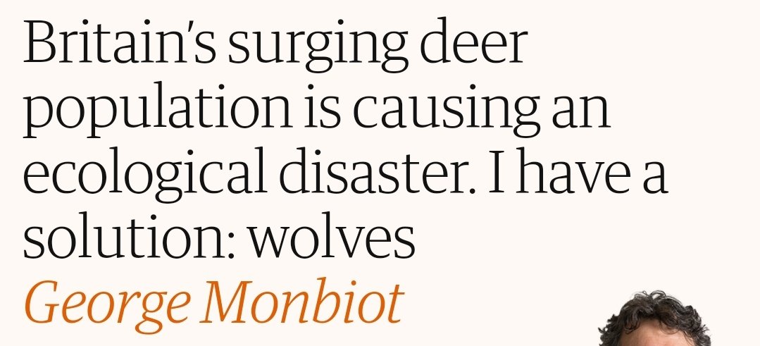 going to apply 'I have a solution: wolves' to as many contexts as possible
