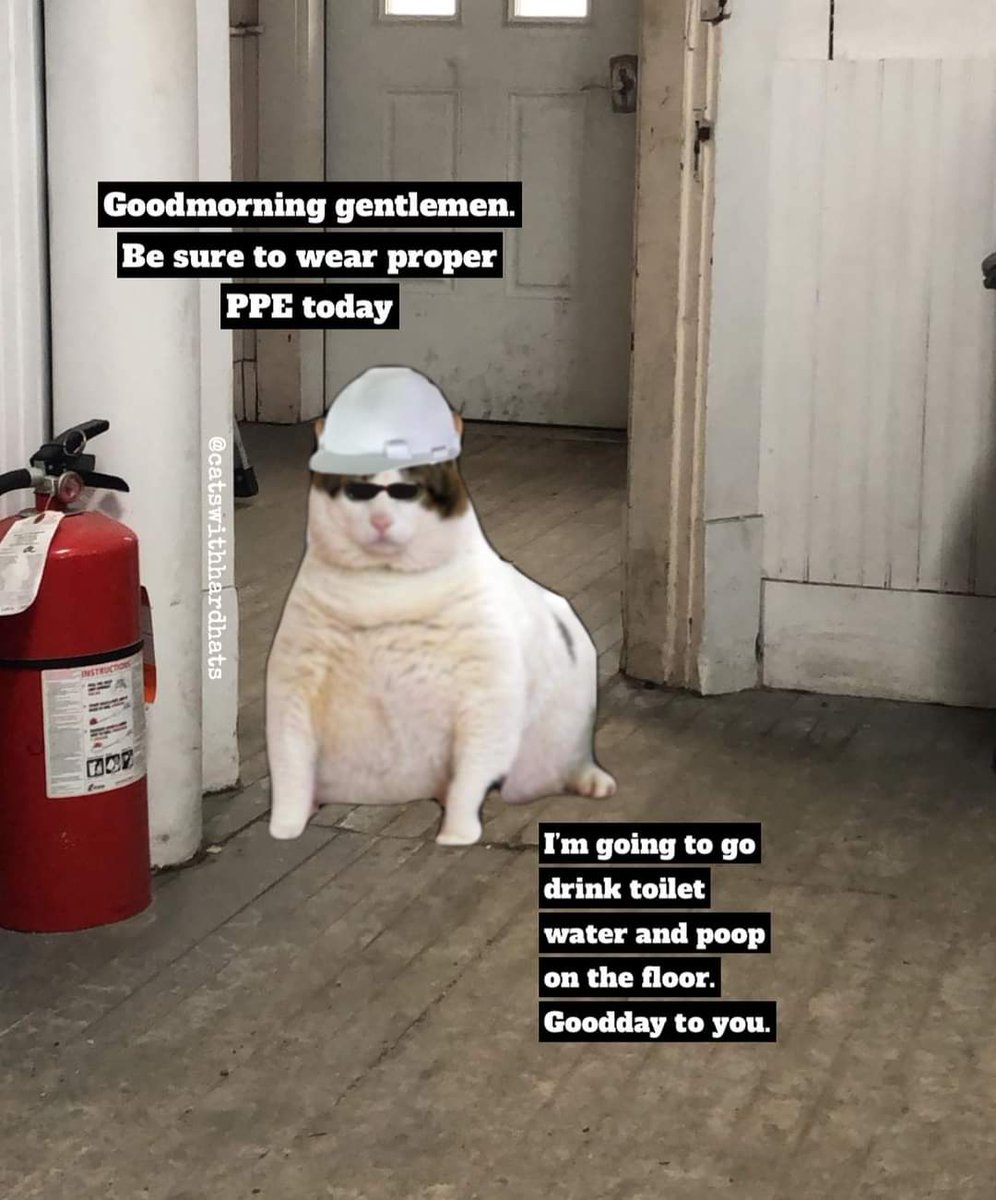CptxCurbStomp tweet media
