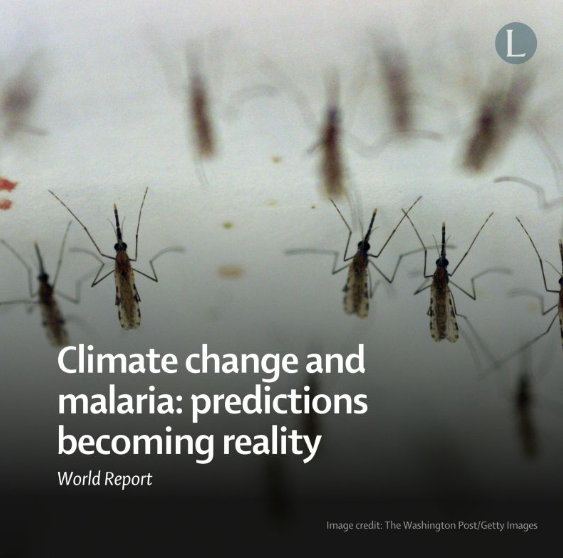 invectorcontrol's tweet photo. The links between #malaria and #climatechange are becoming increasingly apparent.

For the first time, a chapter on malaria and climate change is set to publish the @WHO World Malaria Report 2023

Find out more in a new @TheLancet World Report 👉 https://t.co/e3iWBIHHN1 https://t.co/mtY1DR4Q2b