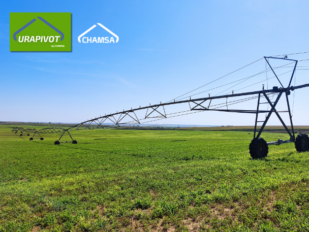 Grupo_Chamartin's tweet photo. 👋 ¡Hola comunidad agrícola! 👩‍🌾

Celebramos nuestra gran producción de tepe mediante nuestro sistema Urapivot en Tarragona. Algunas claves:
✔Eficiencia del agua
✔Automatización del riego
✔Uniformidad del 90% del riego

Descubre nuestros sistemas en https://t.co/k5LbD4NL6e https://t.co/E2T32mKjx2