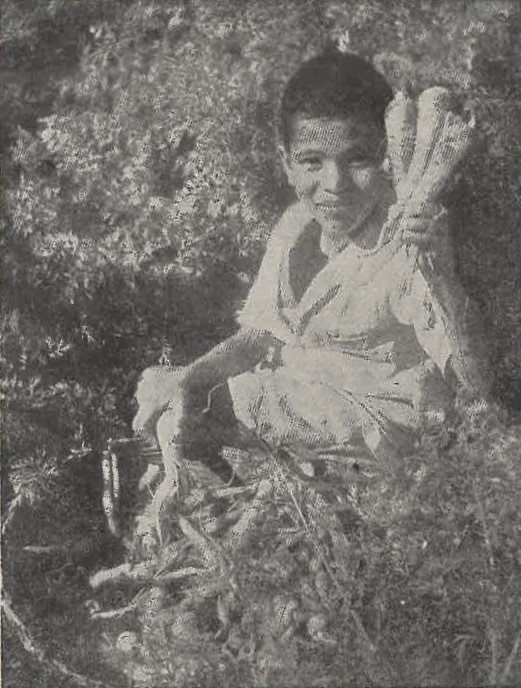 ⌛𝐘𝐞𝐚𝐫: 𝟏𝟗𝟔𝟓. Charles, a Boy from orphanage of St. Joseph holds fine specimen of carrots to the camera. The good yield was possible by the generous donation of Caritas India to the orphanage. This helped the institution become self-sufficient
#CaritasIndia #DiamondJubilee