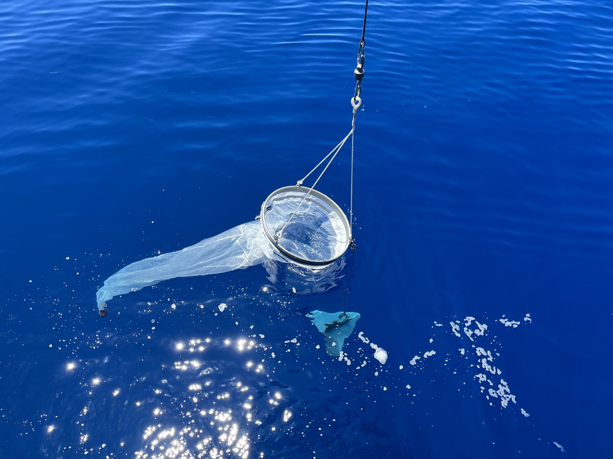 Robin van Dijk tweet media