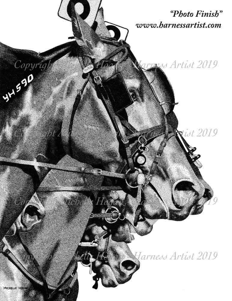 Michelle Hogan tweet media