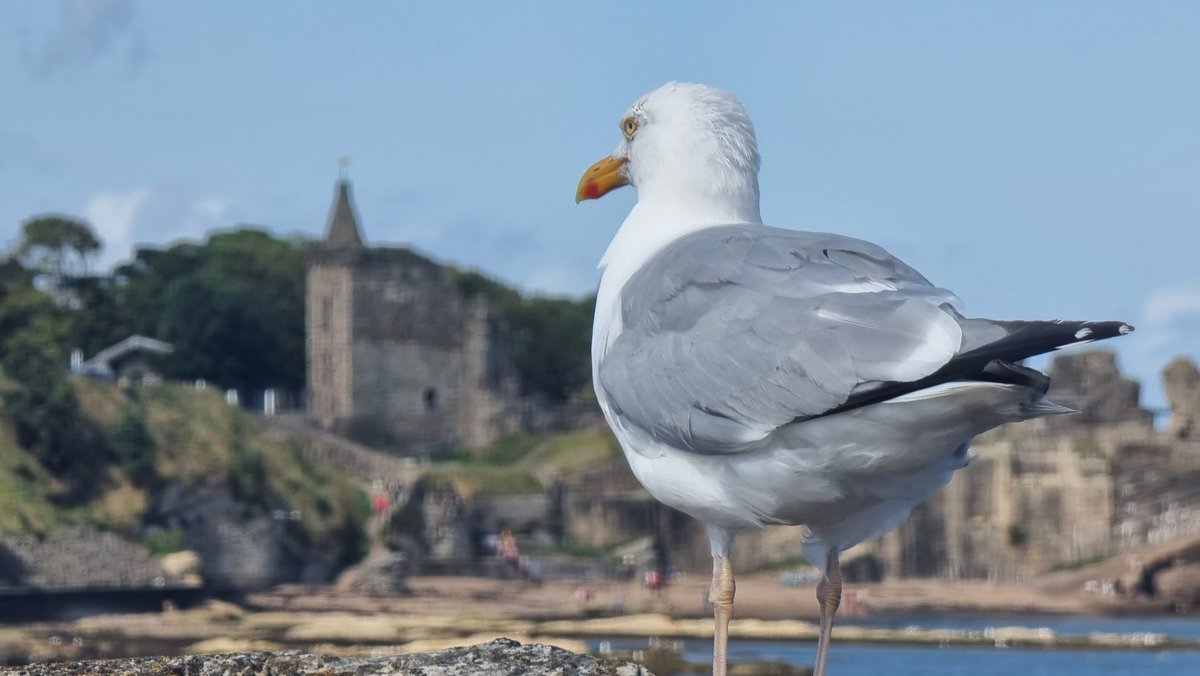 Liam Hayne tweet media