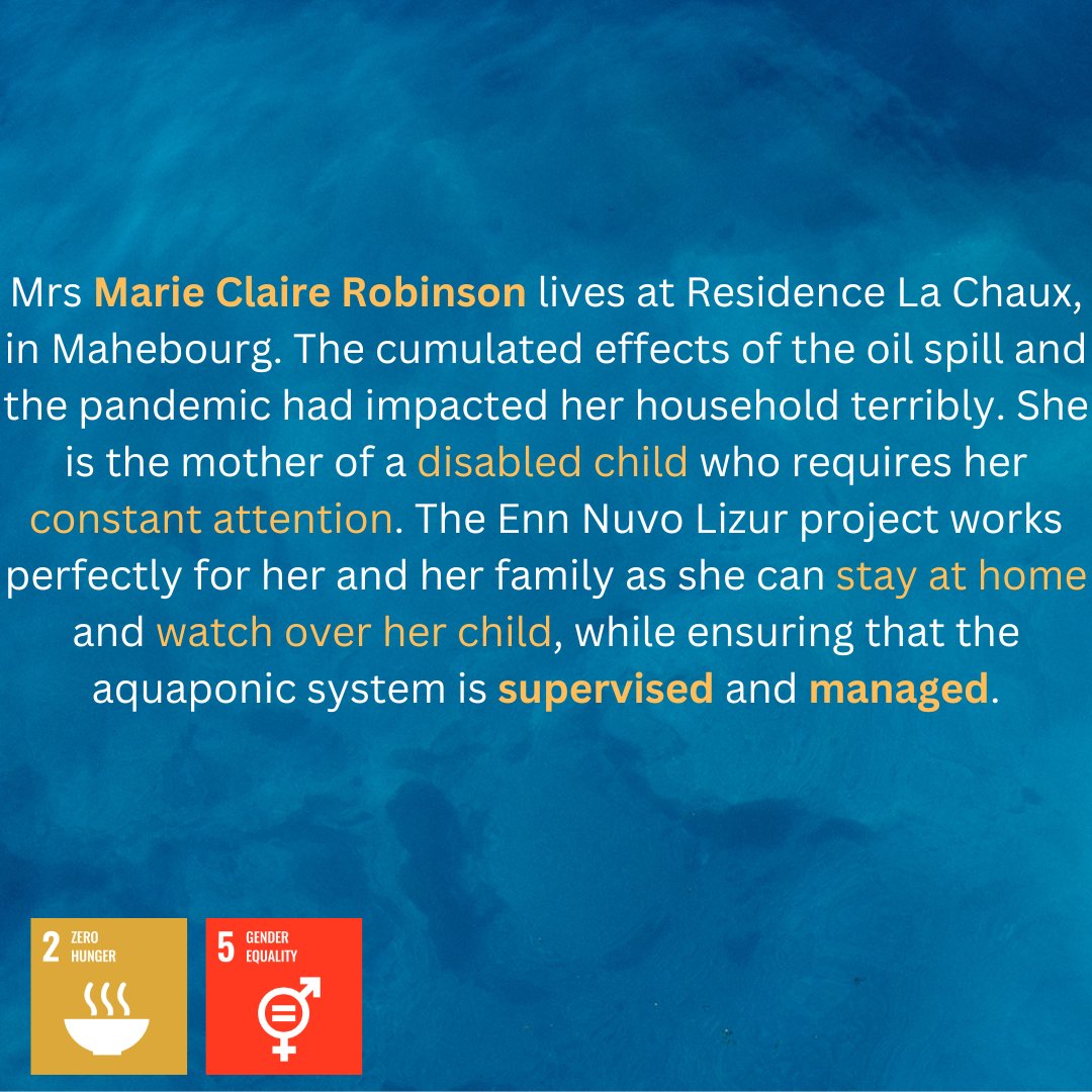 We are excited to put the Enn Nuvo Lizur aquaponics project, funded by @sgpmauritius, in the spotlight again!
#FoodSecurity #Aquaponics #SDG #mauritius #RisingUpForSIDS 

Find out more on...
Instagram: @enn_nuvo_lizur
Facebook: Enn Nuvo Lizur
Website: ennnuvolizur.org