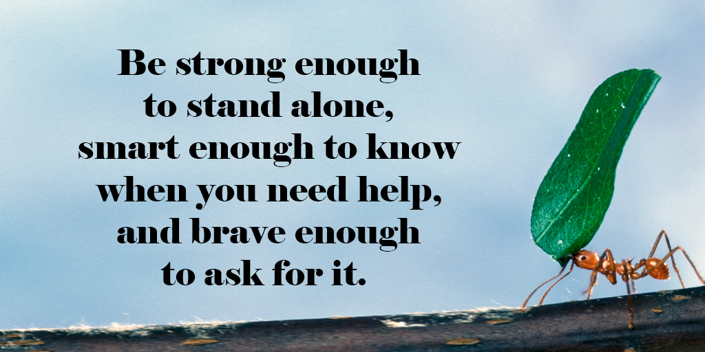 tim_fargo's tweet photo. Be strong enough to stand alone, smart enough to know when you need help, and brave enough to ask for it. #quote
#quoteoftheday https://t.co/hx63Qy2RKC