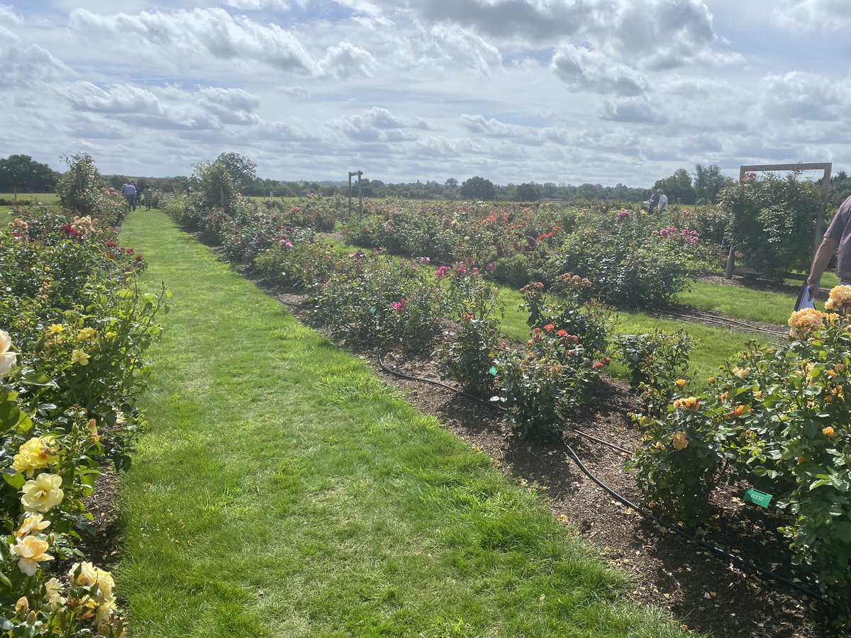 Emma Allen tweet media