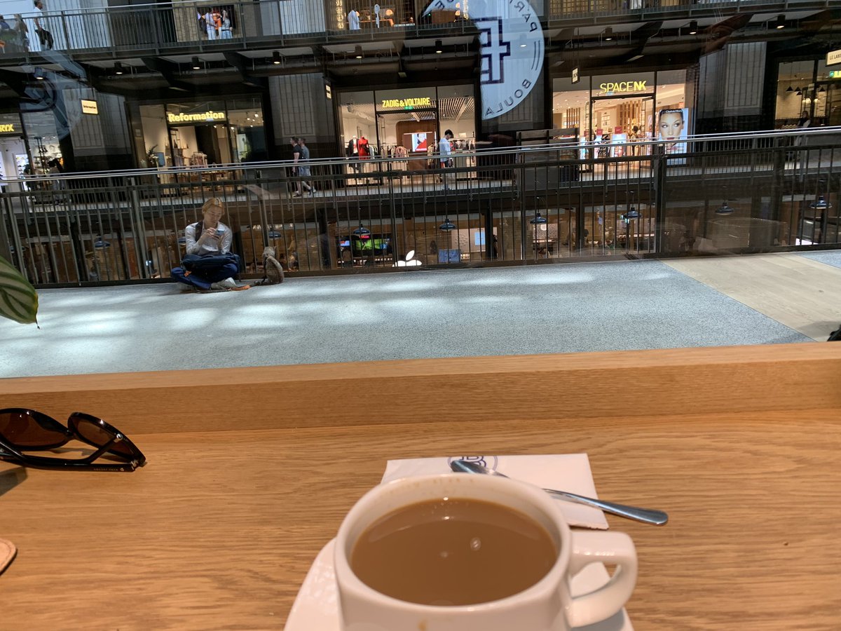 westiemont's tweet photo. Cats &amp; dogs are allowed in Battersea Power Station, so why am I left back at base?? #didnotknow https://t.co/51yMyhf861