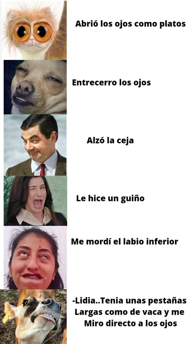 offcomodicen's tweet photo. 🤣 https://t.co/syTTSBfVL7