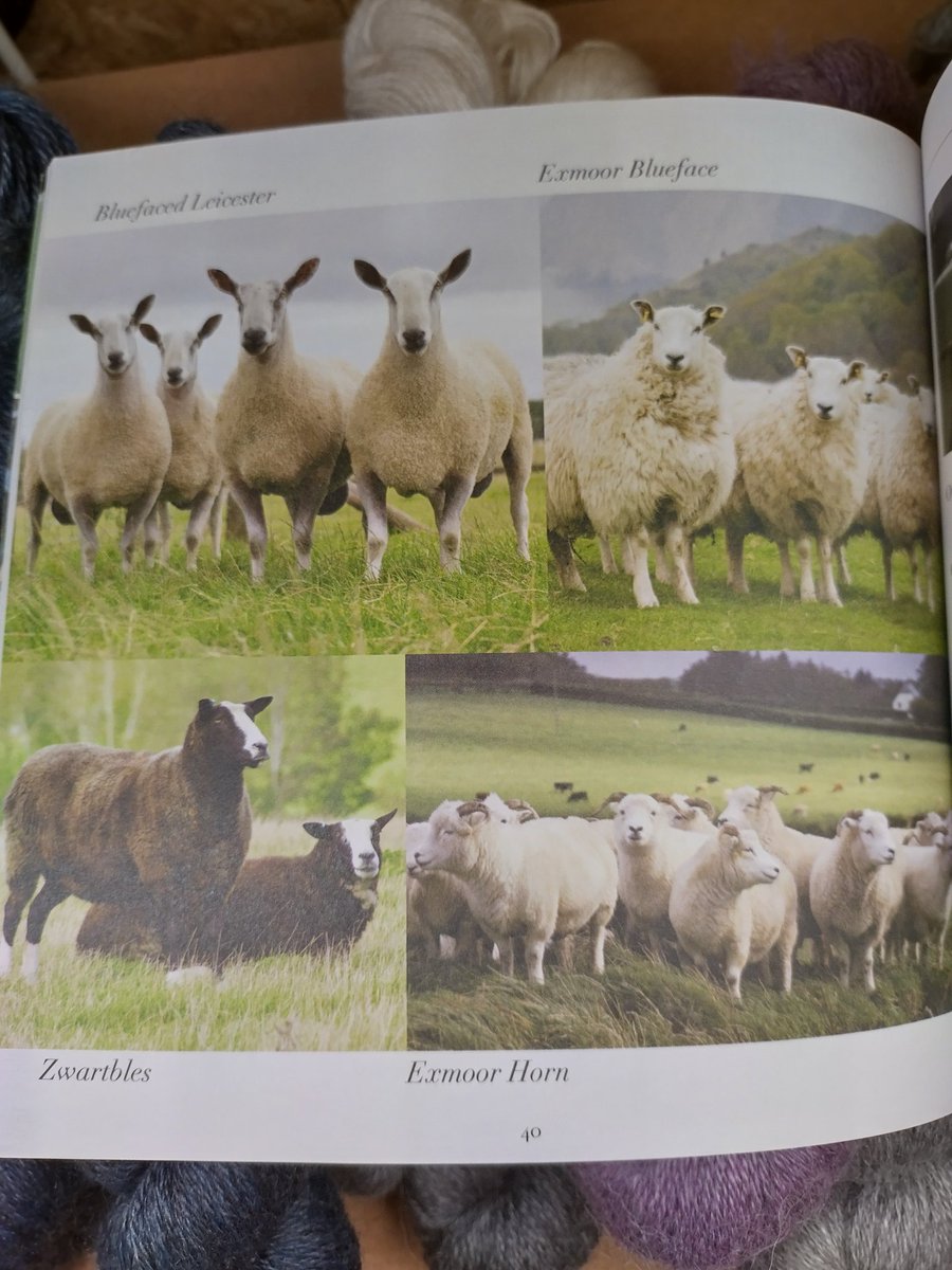 LlucMercade's tweet photo. #JohnArbonTextiles, fàbrica de llanes d'ovelles 🐑 Exmoor Bluface, Bluface, Lustre Breeds, Devon Closewool, Romney, Devon Zwartbles, Falklands Merino, Corriedele... https://t.co/YSZUBpxO0L