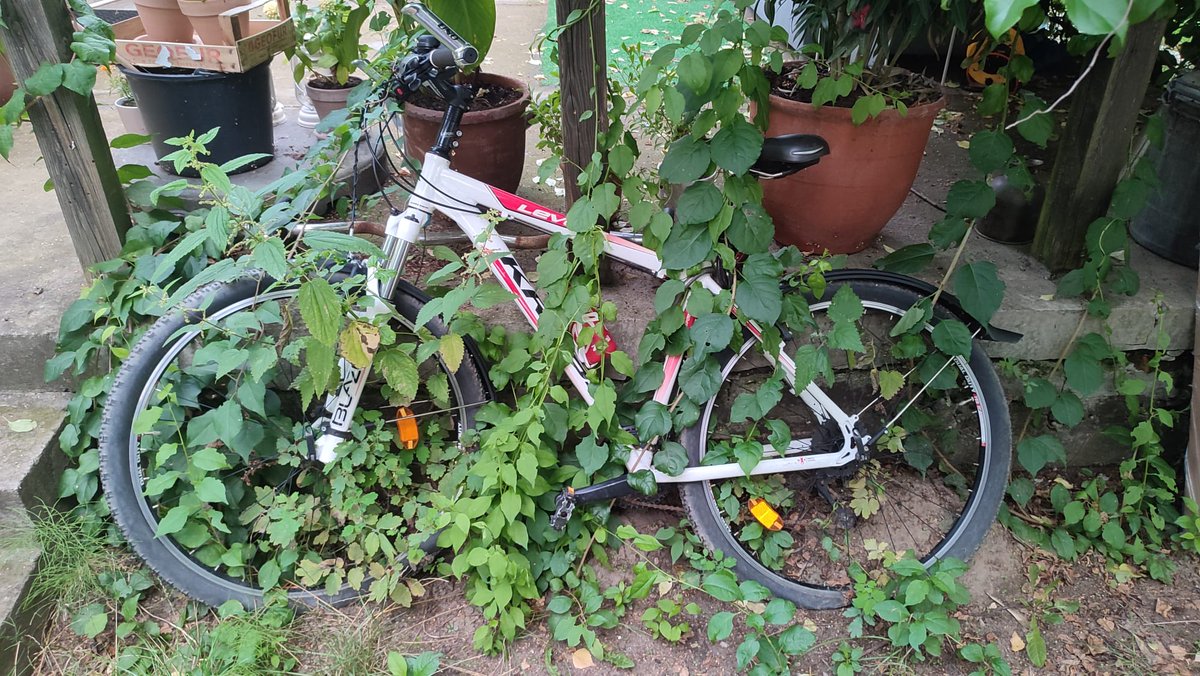 rafalhubert's tweet photo. Przepraszam, ale przeoczyłem info o początku tegorocznego sezonu rowerowego. Można już ruszać w kurs czy jeszcze trzeba poczekać? #RowerPower https://t.co/wK4QfrCFwm https://t.co/LBvAypZXZJ