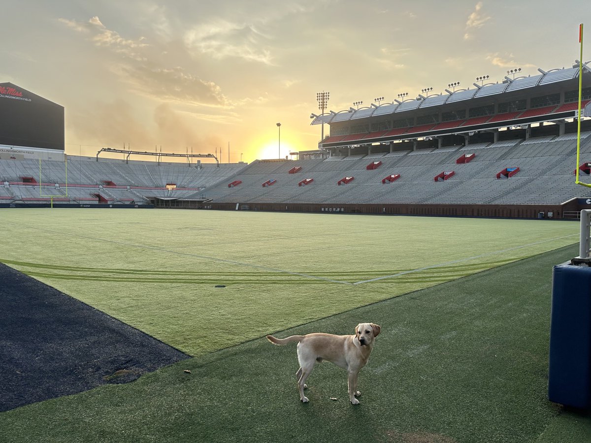 Lane_Kiffin's tweet image. Won’t be long 💙🏈🔥 ⁦@OleMissFB⁩ ⁦@MercerFootball⁩