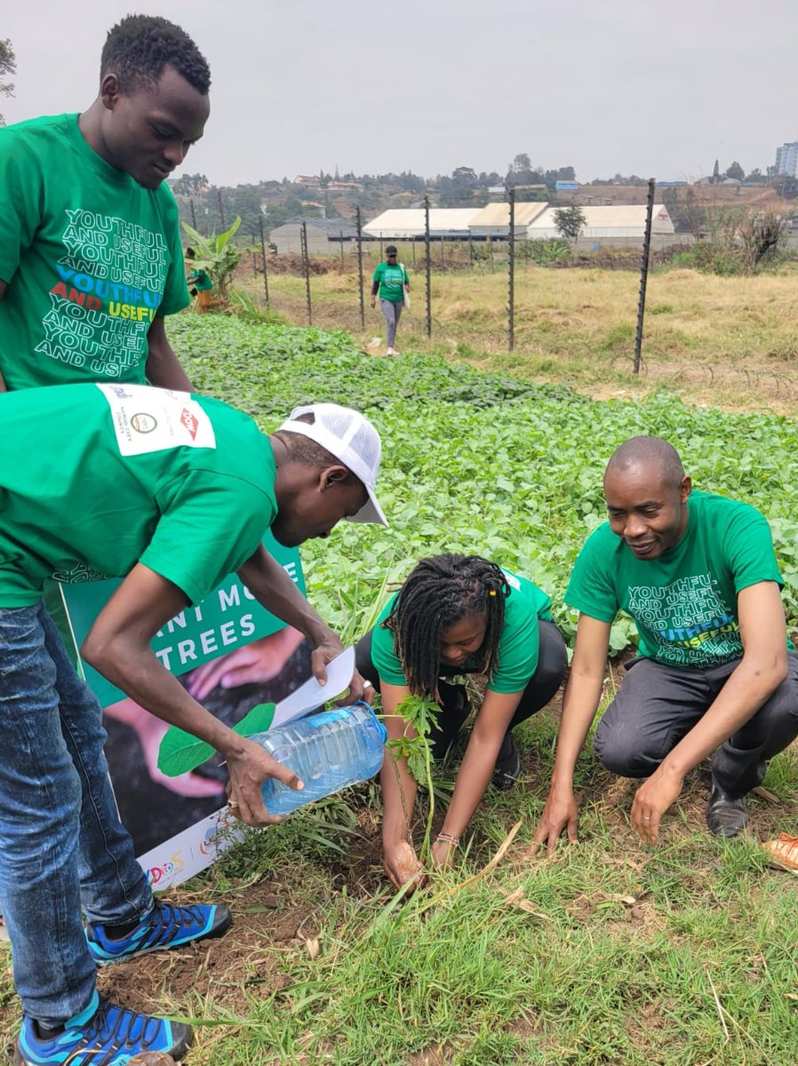 CrimeSiPoaKenya's tweet photo. Our Progs Manager @IrynWere participating in a tree planting session @ Gatharine Park in Githurai 45 courtesy of @ChildFundKenya invite to celebrate #InternationalYouthDay2023 .Thank you so much @AliceAnukur and the whole team for the great job
@EUinKenya 
@UNEP @Environment_Ke https://t.co/OiregLA7k3