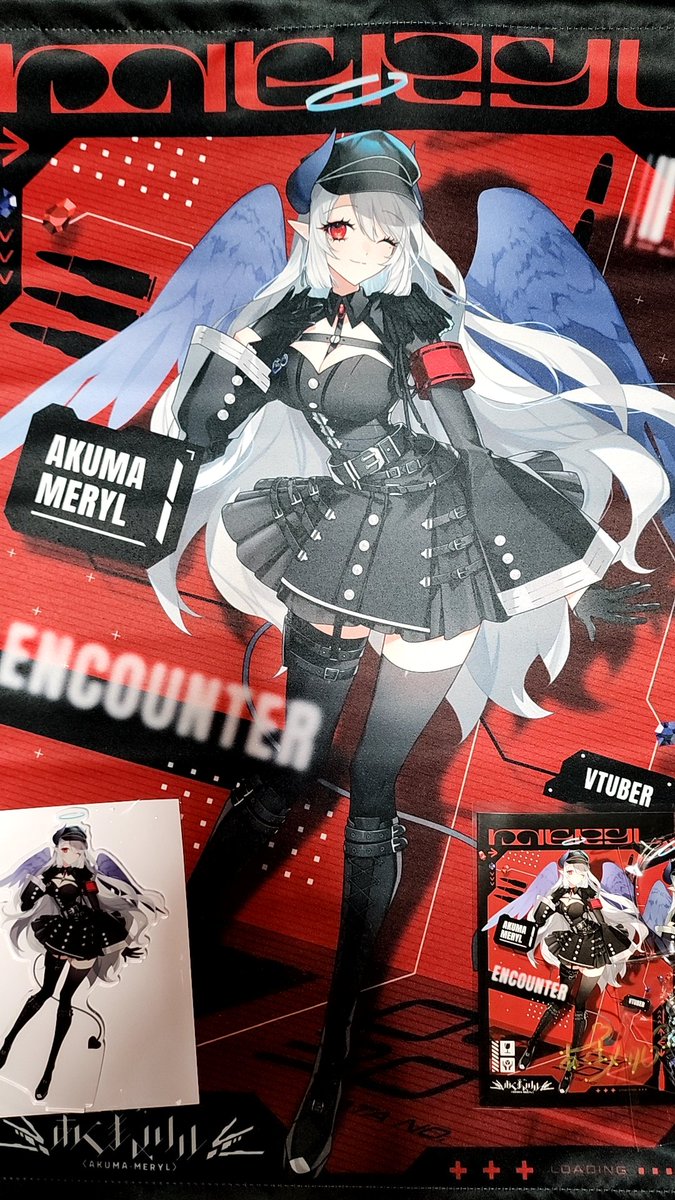 現代美術　シルバパルメイラ　ポルトガル　カモメ　かもめ　タペストリー メリル先生の新Live2D記念グッズを開封。 普段以上に大きな箱で届いた