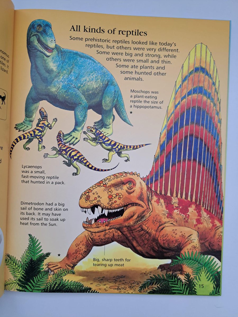 #bookoftheday 
🦖First Encyclopedia of Dinosaurs and Prehistoric Life🦖

What was the biggest dinosaur? When was the ice age? Why did the dinosaurs die out? 
This fascinating book has all the answers! 

usborne.com/gb/partner/emi…