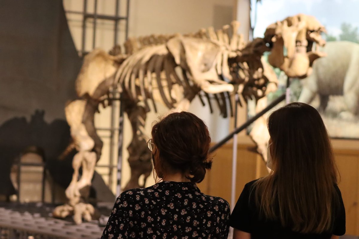 azucena_lopez_'s tweet photo. .@martafl59 y yo llevamos desde 2021 disfrutando de lecturas y entrevistas que tenemos la suerte de realizar para la iniciativa #naturalezaentrelineas. Gracias a nuestro museo @mncn_csic y a las editoriales que habéis colaborado. ♥️ Hemos charlado con 👉 https://t.co/EuwilUWLt9 https://t.co/C6YvK3RkSl