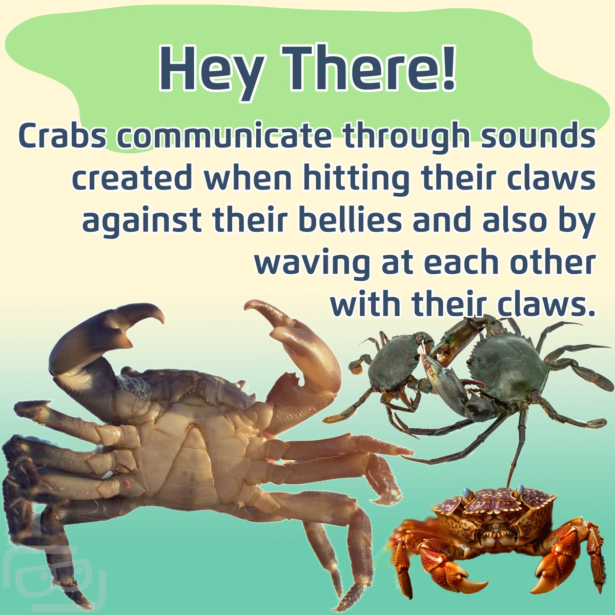 Lookout Lunch Box tweet media