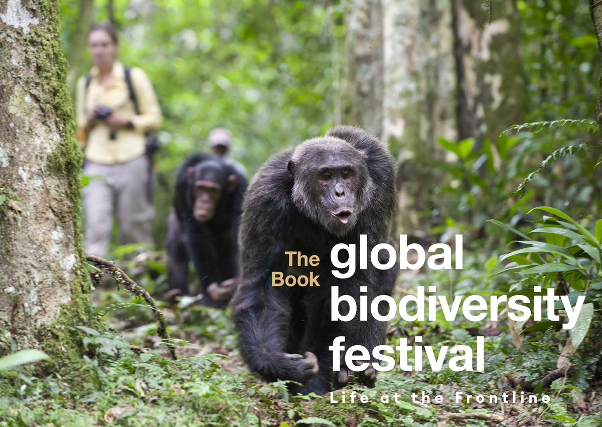 The 2023 Global Biodiversity Festival eBook is beautiful & free to download: bit.ly/47mMQEl This is yr 4 with a total of 321 speakers, 158 hrs of broadcasting from 81 countries! We're already fired up for next year 😀🌊🌳🦈🐸🌴🦋🐛🕷️🐞 @UNBiodiversity #biodiversity